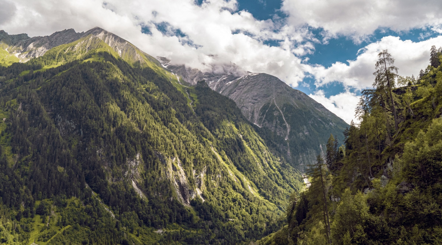 Supraviețuire în munți